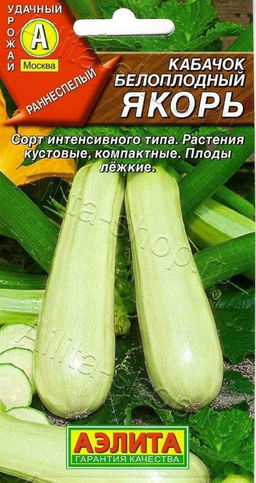 Кабачок Якорь (белоплодный) 2г (Аэлита)