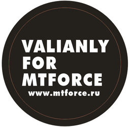 Парка спортивная мужская с капюшоном softshell черного цвета 9565Ch - Mtforce фото 29
