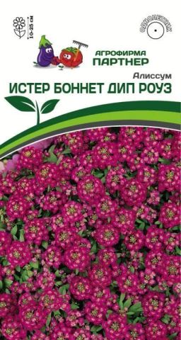 Алиссум морской Истер Боннет Дип Роуз