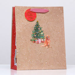 Пакет подарочный Встречаем Новый Год 26 х 32 х 12 см - Simaland фото 3