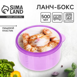 Цена за 2 шт. Ланч - бокс круглый Котёнок, 500 мл
