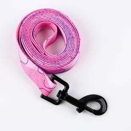 Набор Нежность, застёжка - фастекс, поводок 2 м и ошейник 28-46 см - Пушистое счастье фото 4