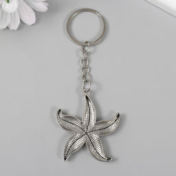Цена за 12 шт. Брелок для ключей на кольце «Морская звезда», металл, 4.8×4.3 см