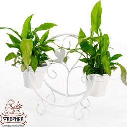 Подставка для цветов на подоконник 41-002W на 2 цветка - Фабрика интерьерной ковки фото 4