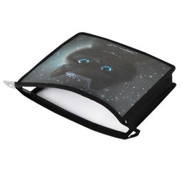 Папка для школьных тетрадей пластиковая Феникс+, арт. 69297/ 12 ПРИНЦЕССА ЛУНА