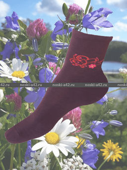 Цена за 10 пар. ЮстаТекс носки женские 2с15 СПОРТ ассорти 23-25 - Юста-текс фото 148