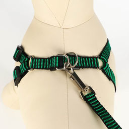 Комплект амуниции рельефный, поводок 120 х 1,5 см, ОГ 36-49 см, зелёно-чёрный - Пижон фото 4