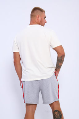 Шорты мужские 35336