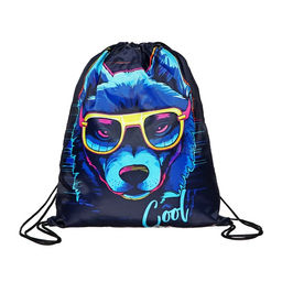 Мешок для обуви 420 х 340 мм, Calligrata МСО-5С, (мягкий полиэстер, плотность 210D), Собака в очках