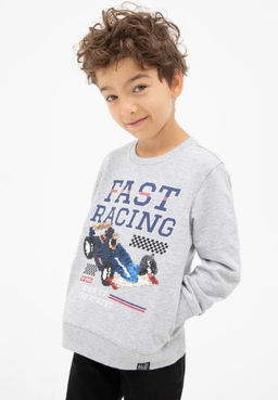 20120170112, Джемпер детский для мальчиков Cheh серый Acoola