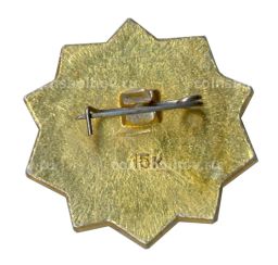 Значок ОСВОД РСФСР