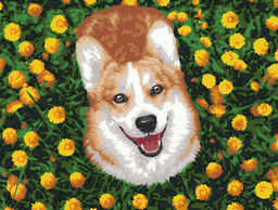 ФРЕЯ PNB/PM-124 Набор для раскрашивания по номерам 40 х 30 см Радостный корги