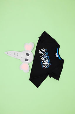 Футболка U.S. Polo Assn базовая черная хлопок  фото 5