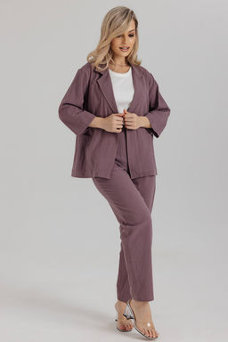Брюки женские 183/01/Сливовый