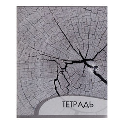 Комплект тетрадей из 4 штук, 96 листов в клетку Calligrata Металл, обложка мелованный картон, блок офсет  фото 8
