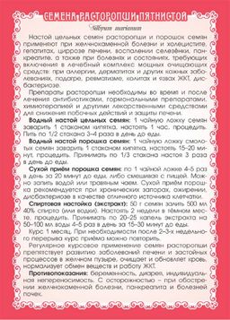 2 шт. Расторопша пятнистая (семена) - Мариславна фото 3