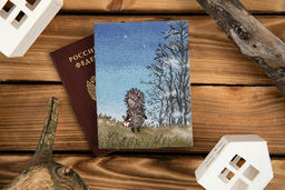 Набор для вышивания PANNA Союзмультфильм CMF-OP-7506 Обложка для паспорта. Ежик в тумане 20 х 13.5 см