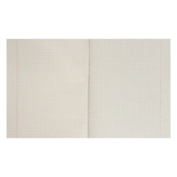 Комплект тетрадей из 5 шт (4 разные + 1 МИКС) Мыльные пузыри, 48 листов, в клетку, обложка мелованная бумага, блок №2, белизна 75% (серые листы) - Calligrata фото 3