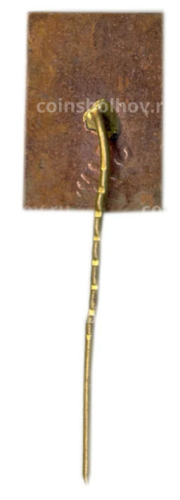 Значок Симонас Даукантас