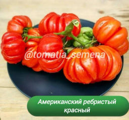 Американский ребристый красный