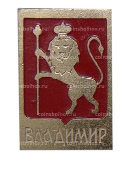 Значок Владимир