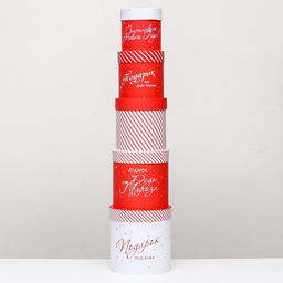 Набор шляпных новогодних коробок 5 в 1 «Подарок под Ёлку», 20×20 - 15×15 см