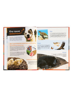 Энциклопедия в твёрдом переплёте "Животные", 128 страниц