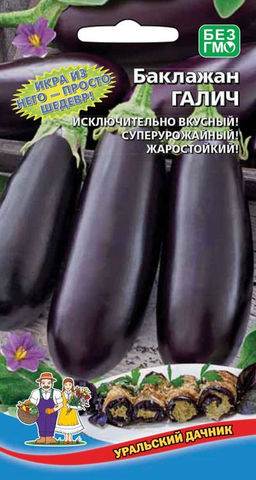 Баклажан ГАЛИЧ  Исключительно вкусный! Жаростойкий! Для баклажанной икры!