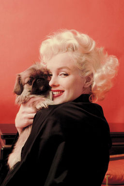 MARILYN MONROE T-SHIRT - PHOTO BY MILTON H. GREENE  2024 JOSHUA GREENE