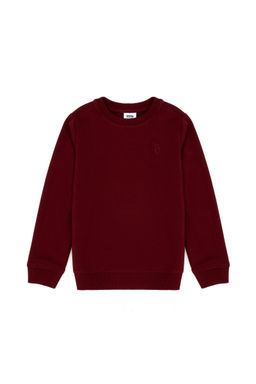 U. S. Polo Assn Детский бордово-красный базовый свитшот с круглым вырезом - U.s. polo assn фото 2