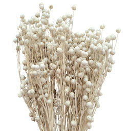 Лен отбеленный, пучок 60г, 60 колосьев, h 60-70см