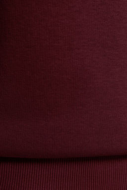 Bordo Kal?n Ici Polarl? Regular/Normal Kal?p Bisiklet Yaka Basic Orme Sweatshirt TWOAW24SW00101