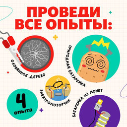 Набор для опытов Великие учёные: Никола Тесла, 4 опыта - Эврики фото 3