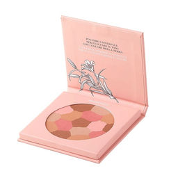 Пудра для лица Pure beauty Mosaic face powder компактная, 01 1008093