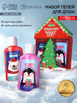 Подарочный набор косметики Новогодних чудес, гель для душа 2 шт. 100 мл, URAL LAB фото 15