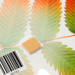 Цена за 10 шт. Украшение на скотче «Лист рябины» красный, зелёный, 18×18 см