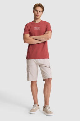 Erkek Vi_ne Regular Fit Bisiklet Yaka Ti__rt