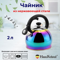 Чайник 2л нержавеющая сталь HR781-3 хамелеон OLS-16016-17