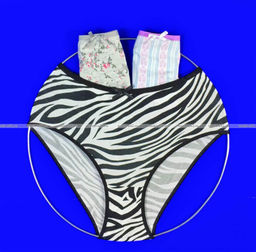 Цена за 3 шт. Трусы женские Miss Emma Турция высокая посадка большие размеры № 6