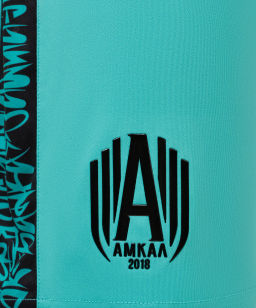 Шорты игровые Jogel AMKAL PerFormDRY Shorts, бирюзовый/черный  фото 8