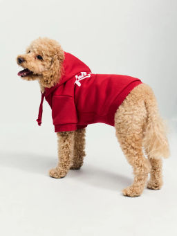 Толстовка для питомца с принтом / Zarina