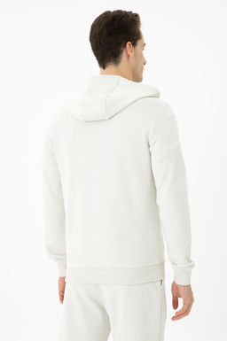 Толстовка мужская U. S. Polo Assn с камнем из хлопка - U.s. polo assn фото 19