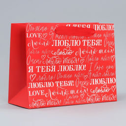 Цена за 2 шт. Пакет подарочный ламинированный, упаковка, «Люблю», MS 23×18×10 см