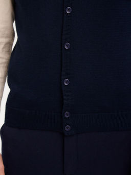 Жилет мужской на пуговицах CASINO c126-т.синий - Greg фото 5