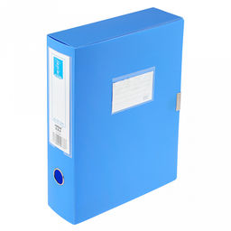 Папка-органайзер (короб) "Архивная" А4 23,4х31,7х7,5см, пластик, на липучке, цвет голубой (Китай)