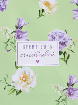 Пакет подарочный ламинированный «Нежный штрих», мятный с сиреневым, 18×22.3×10 см