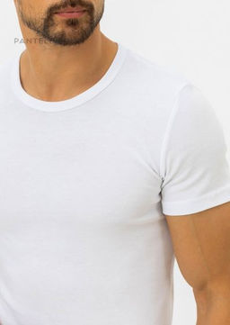 Мужская футболка - Pantelemone фото 29