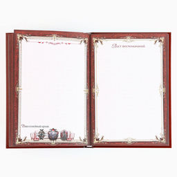 Родословная книга новогодняя «Дед Мороз» 17×2×23.7 см