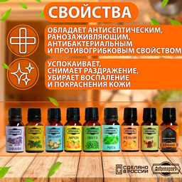Набор эфирных масел Лесные ноты 9 шт по 17 мл Добропаровъ  фото 3