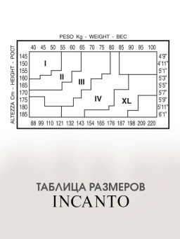 Колготки женские INCANTO Cosmo 20 den